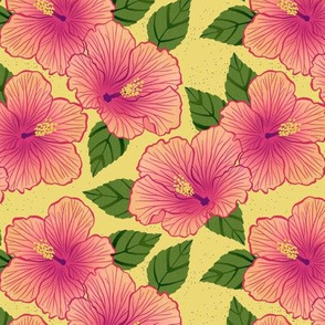 Hibiscus - yellow