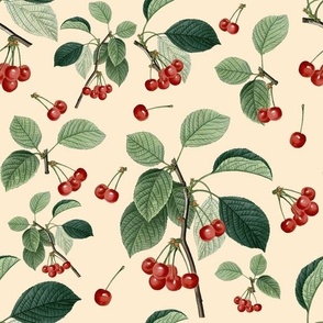 CHERRY HARVEST - RIPE CHERRIES COLLECTION (CREAM)