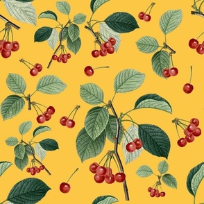 CHERRY HARVEST - RIPE CHERRIES COLLECTION (YELLOW)