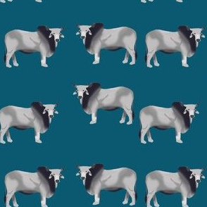 brahman cattle fabric - blue