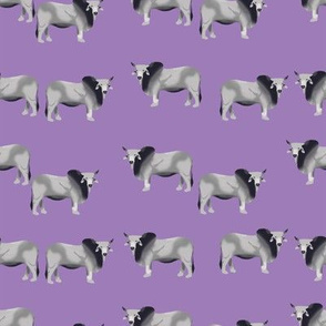 brahman cattle fabric - purple