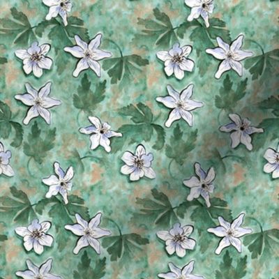 Anemone wood watercolor floral