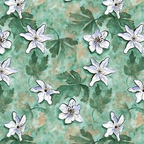 Anemone wood watercolor floral