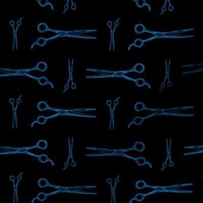 Hair Cutting Shears in Blue with Black Background