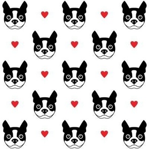 boston terrier faces and hearts