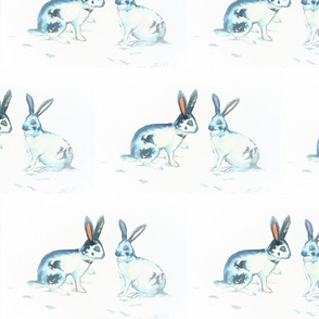 Giant Checkered Rabbits