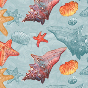 Malibu Sea Shells