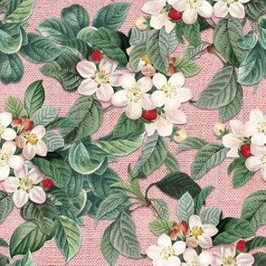 APPLE BLOSSOMS ON LINEN (CORAL)