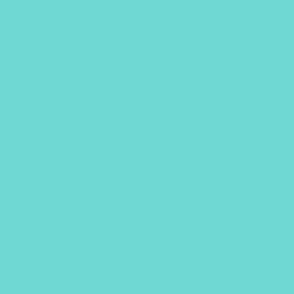 Mint Blue Ocean - Solid Plain