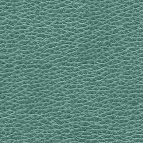 Leather Texture- Mint