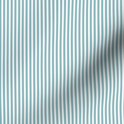 Vertical Stripe Blue & White| Renee Davis