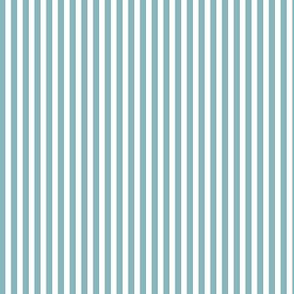 Vertical Stripe Blue & White| Renee Davis
