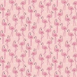 Flamingos - light pink