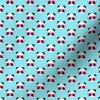 (small scale) pandas with pink glasses C20BS