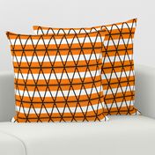 01002216 : traffic cone stripe