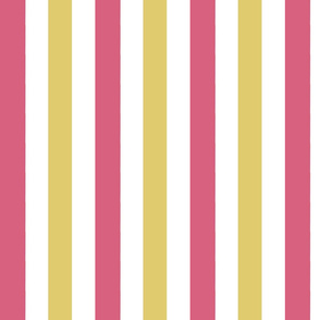 Gold and Hot Pink Splatter Stripe 1