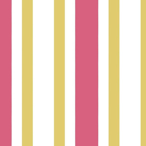 Gold and Hot Pink Splatters Coordinate Stripe