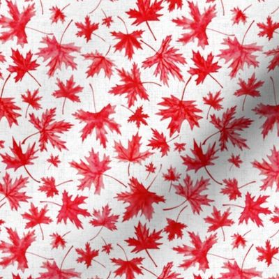 Oh Canada very small, meaple leaf, maple leaves