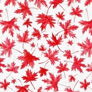 Oh Canada very small, meaple leaf, maple leaves