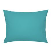 Perfect Turquoise Sea - Solid Plain