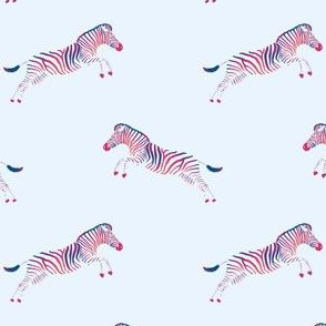 Jumping zebra - rainbow coloring