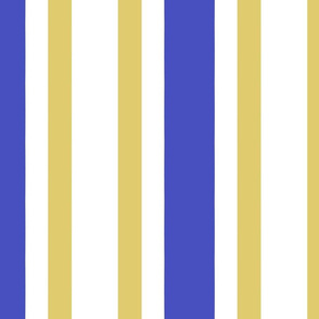Gold and Blue Splatter Coordinating Stripe 2