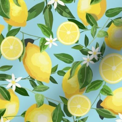 Lemons, lemons, lemons