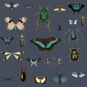 Bugs and Moths Vintage collection Hex464C59