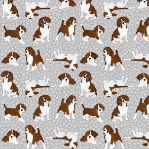 X-small scale • Beagle dog breed grey