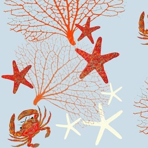Red Crab Starfish 