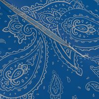 Bandana Paisley Detroit Grey on Blue