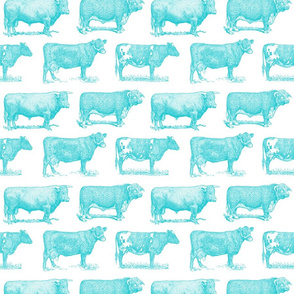 Classic Cow Illustrations in Ocean Blue with White Background