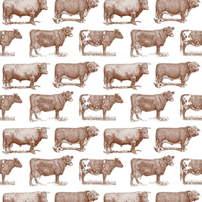 Classic Cow Illustrations in Walnut Brown with White Background