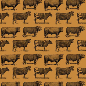 Classic Cow Illustrations in Black with Gold Background