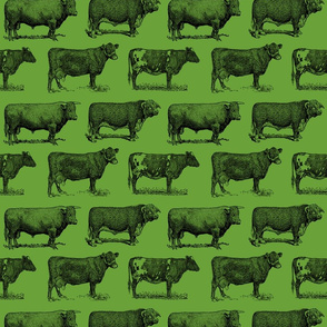Classic Cow Illustrations in Black with Apple Green Background
