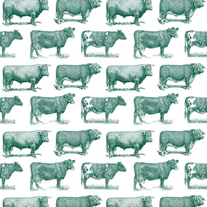 Classic Cow Illustrations in Sherwood Green with White Background