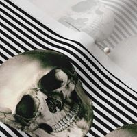 Skulls and Stripes
