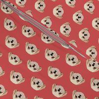 Small Shih Tzu Dog Pattern - Red