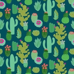 Blooming Cacti