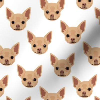 Chihuahua Dog Pattern - White