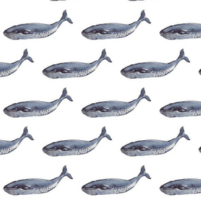 indigo_whale dotty