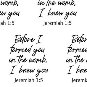 Jeremiah 1:5 on White