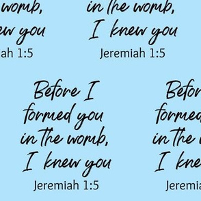 Jeremiah 1:5 on Bible