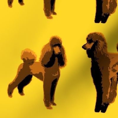 brown poodles yellow background