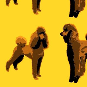 brown poodles yellow background