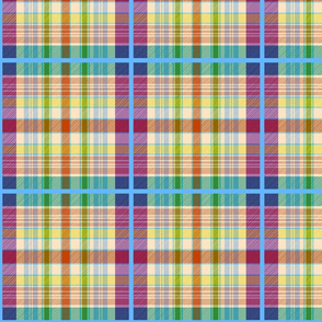 Wyatt's Tartan - turquoise blue, maroon, citrus