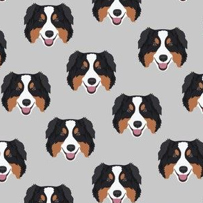 Small Australian Shepherd Dog Pattern - Gray