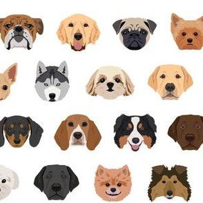 Dog Breeds Pattern - White