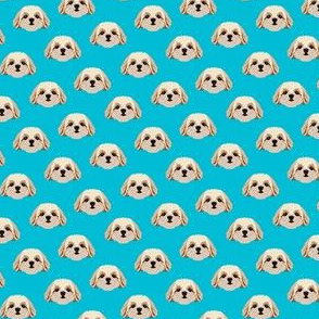 Small Shih Tzu Dog Pattern - Vivid Blue