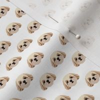 Small Shih Tzu Dog Pattern - White